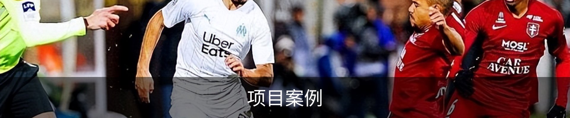 项目案例